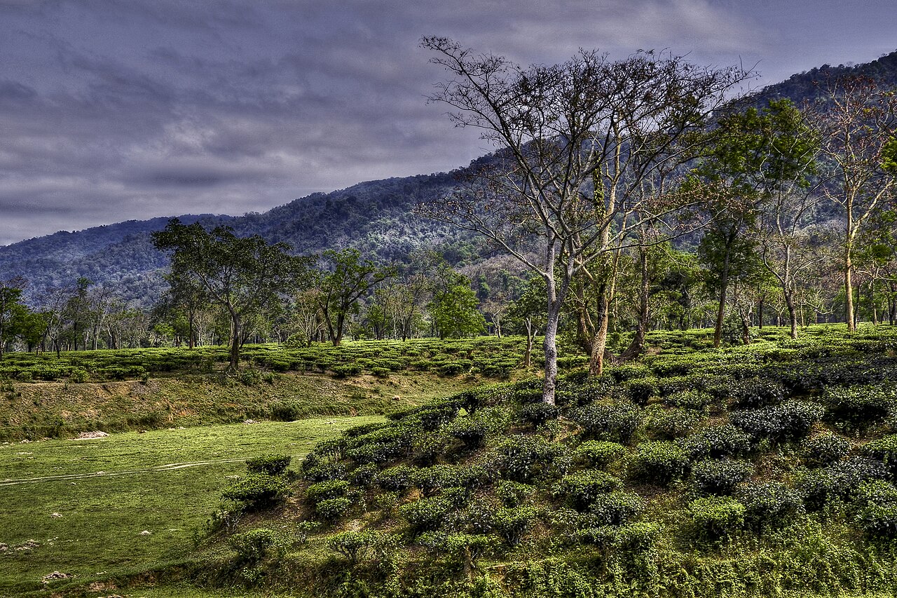Shillong Kaziranga