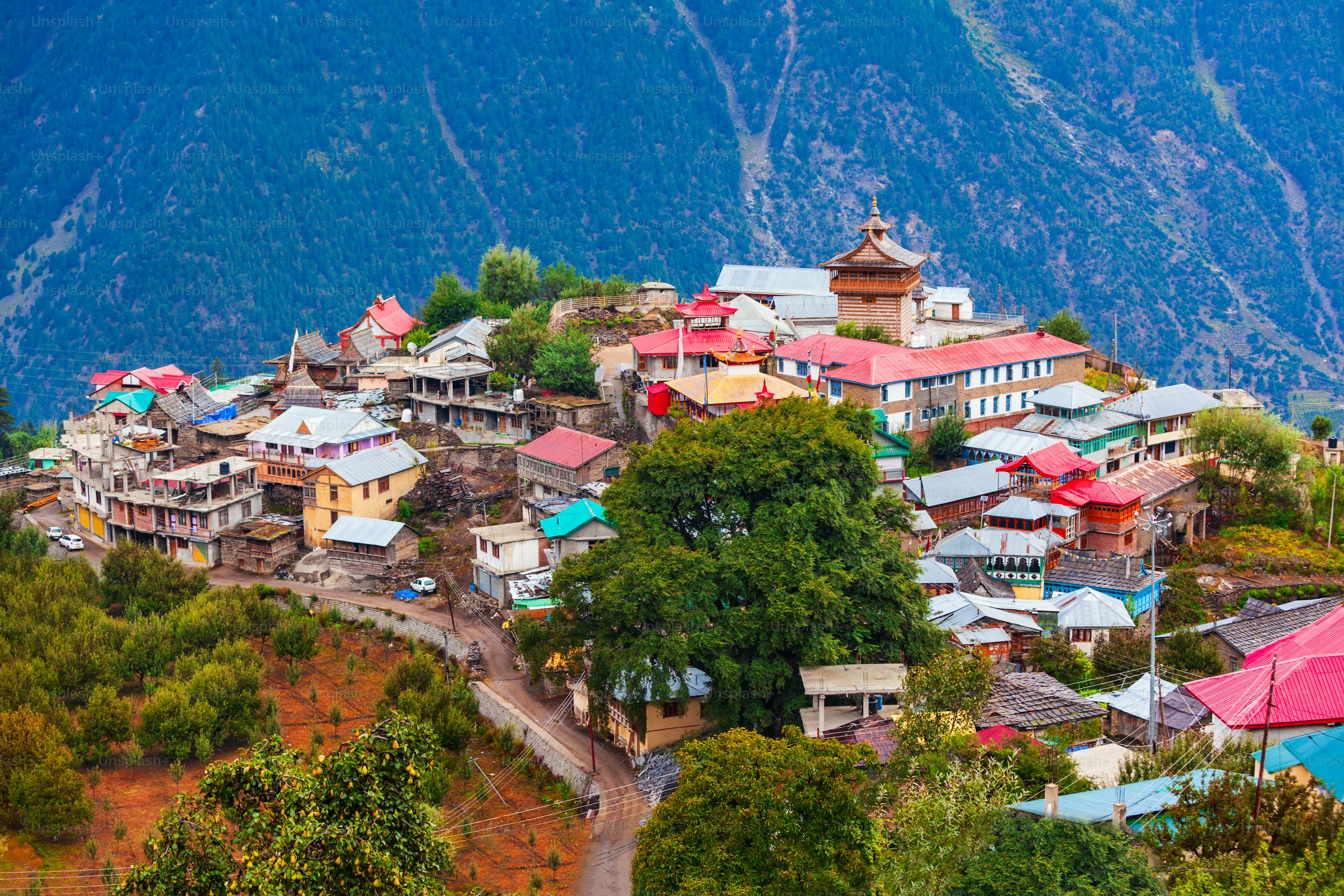 Himachal Tours