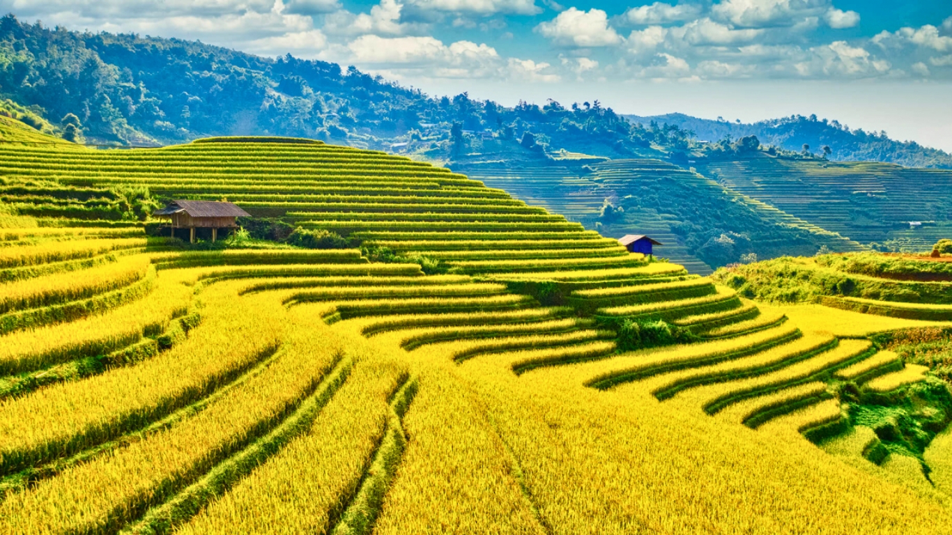 Northern Vietnam Exploration Tour